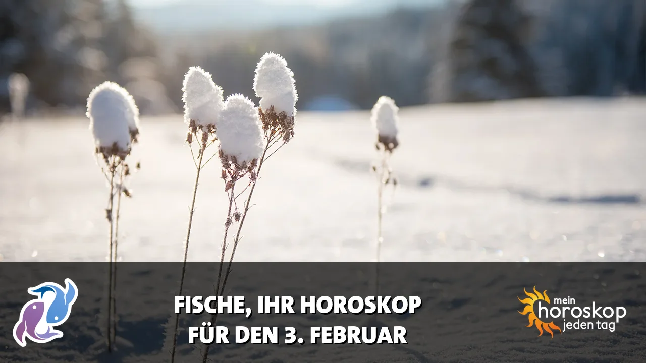 Horoscope Fische du Dienstag, 3. Februar 2026