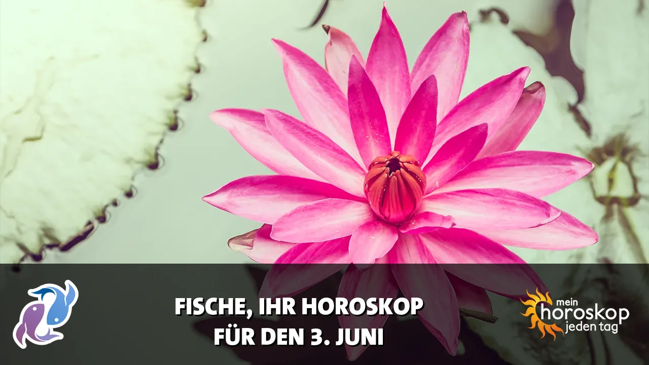 Horoscope Fische du Mittwoch, 3. Juni 2026