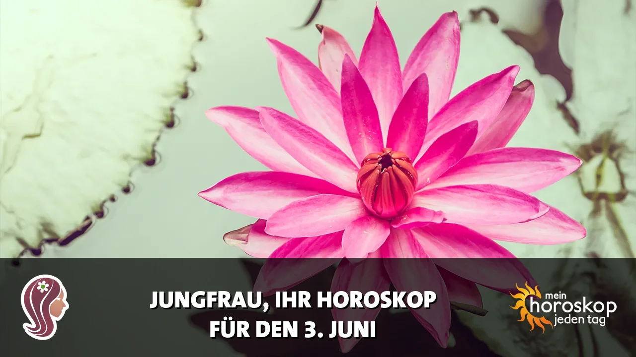 Horoscope Jungfrau du Mittwoch, 3. Juni 2026