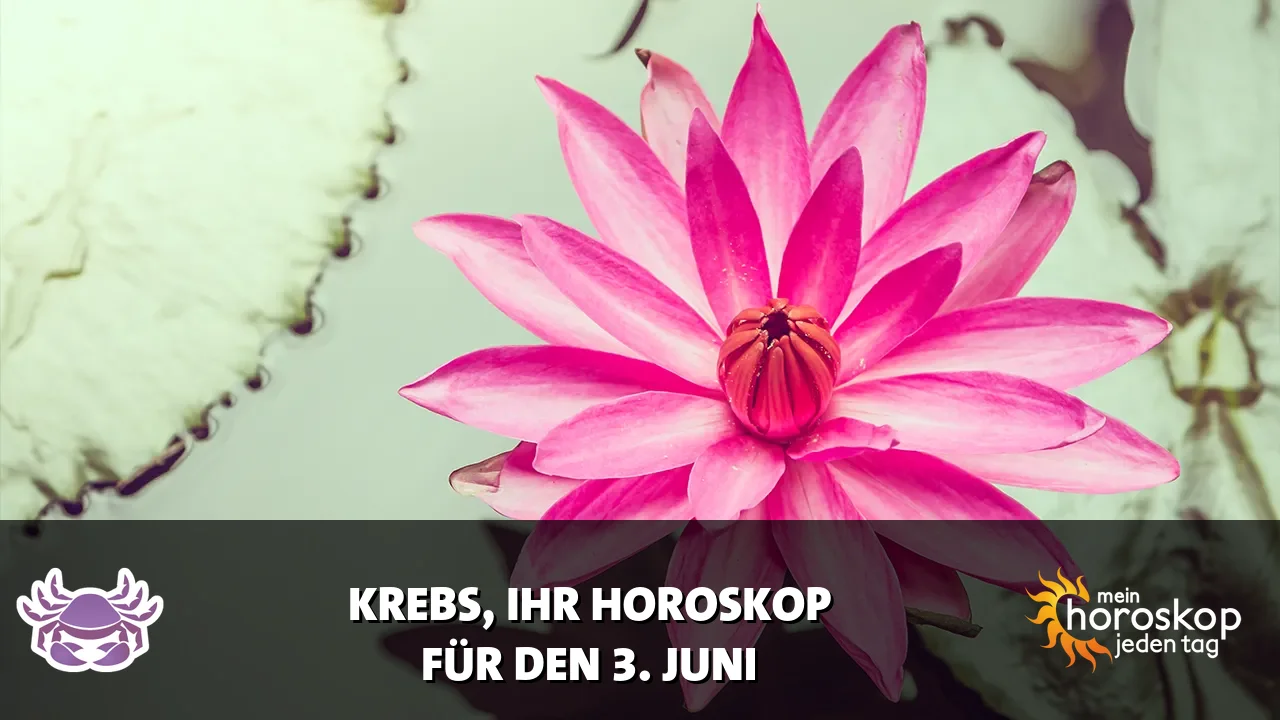 Horoscope Krebs du Mittwoch, 3. Juni 2026