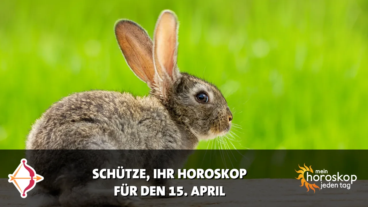 Horoscope Schütze du Mittwoch, 15. April 2026