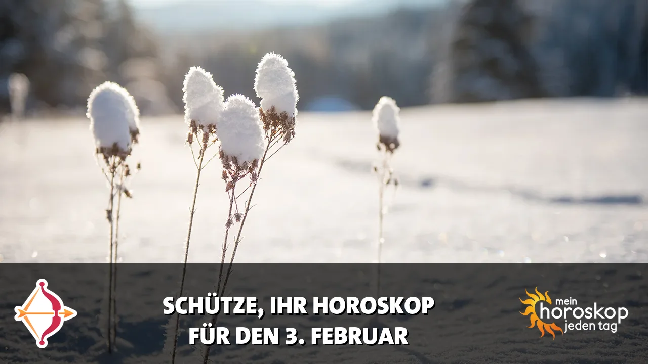 Horoscope Schütze du Dienstag, 3. Februar 2026