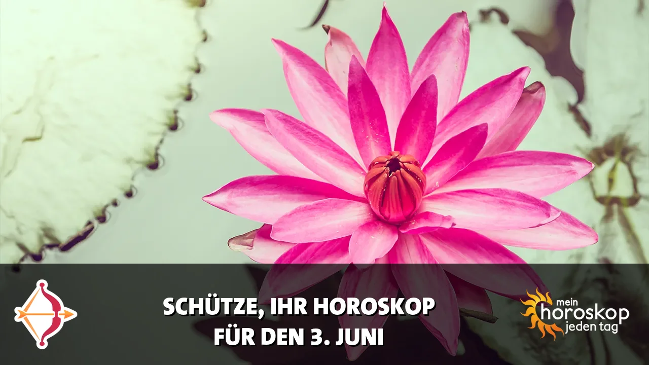 Horoscope Schütze du Mittwoch, 3. Juni 2026