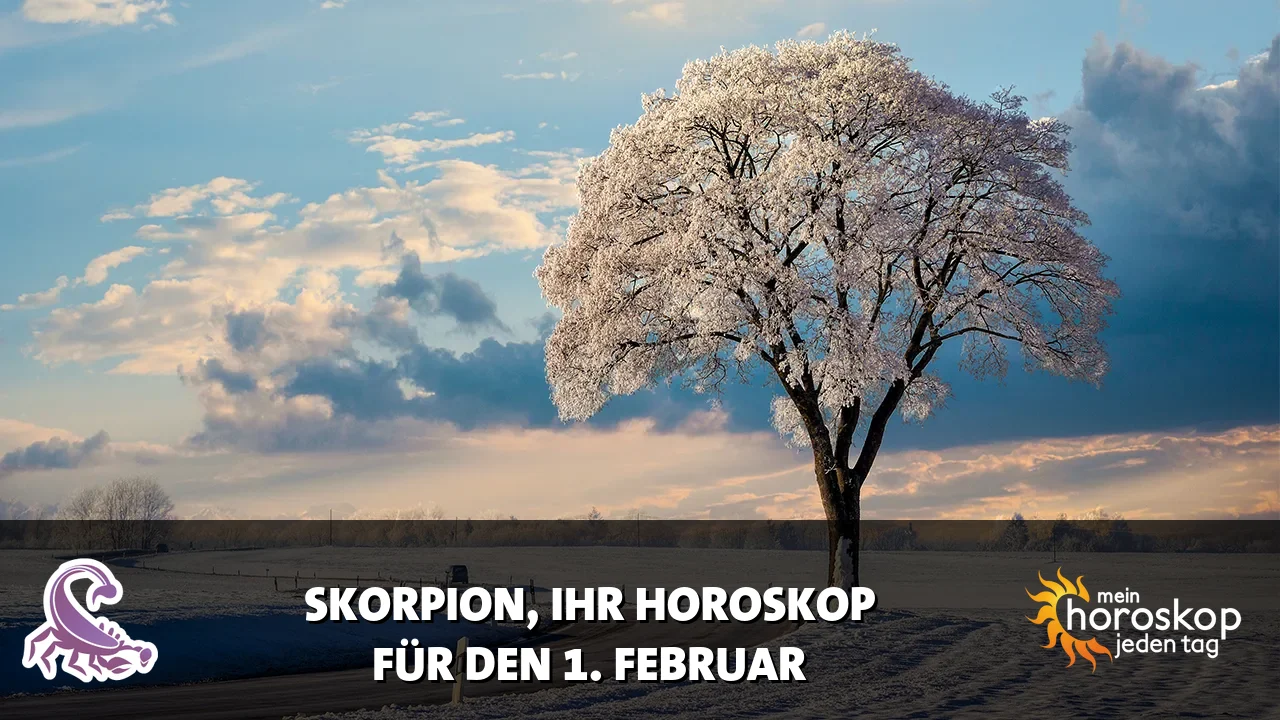 Horoscope Skorpion du Sonntag, 1. Februar 2026