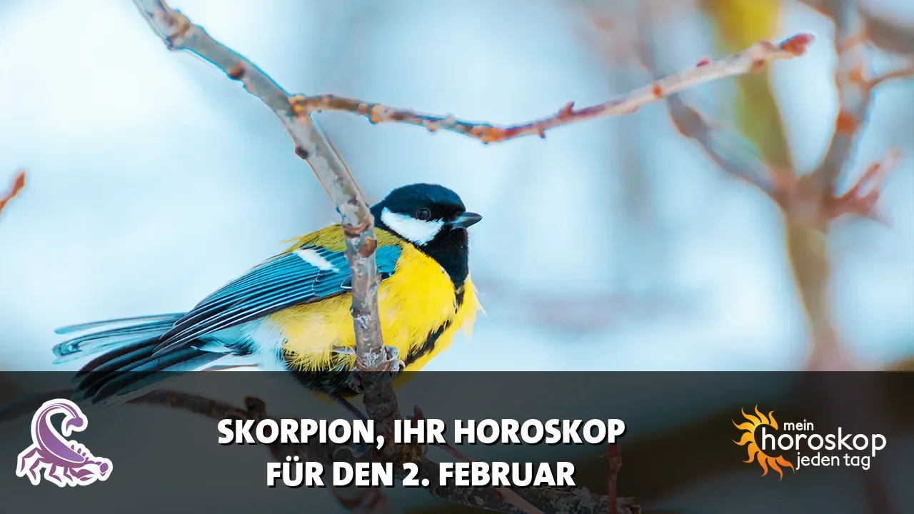 Horoscope Skorpion du Montag, 2. Februar 2026