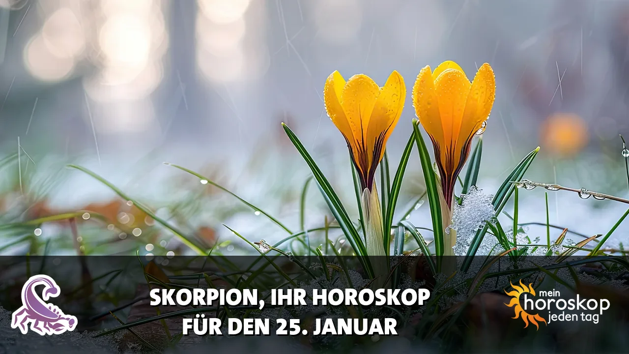 Horoscope Skorpion du Sonntag, 25. Januar 2026