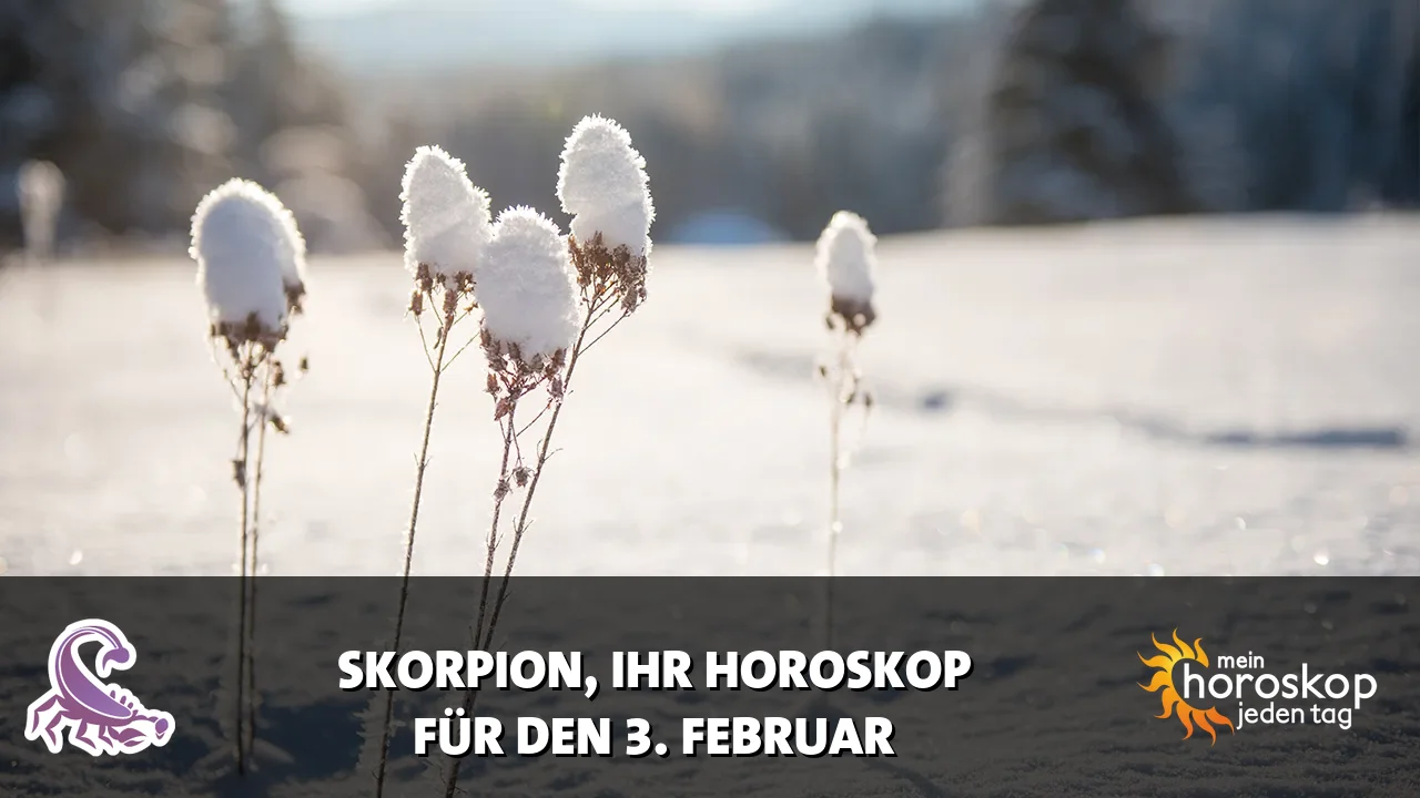 Horoscope Skorpion du Dienstag, 3. Februar 2026