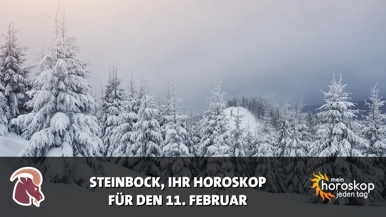 Horoscope Steinbock du Mittwoch, 11. Februar 2026
