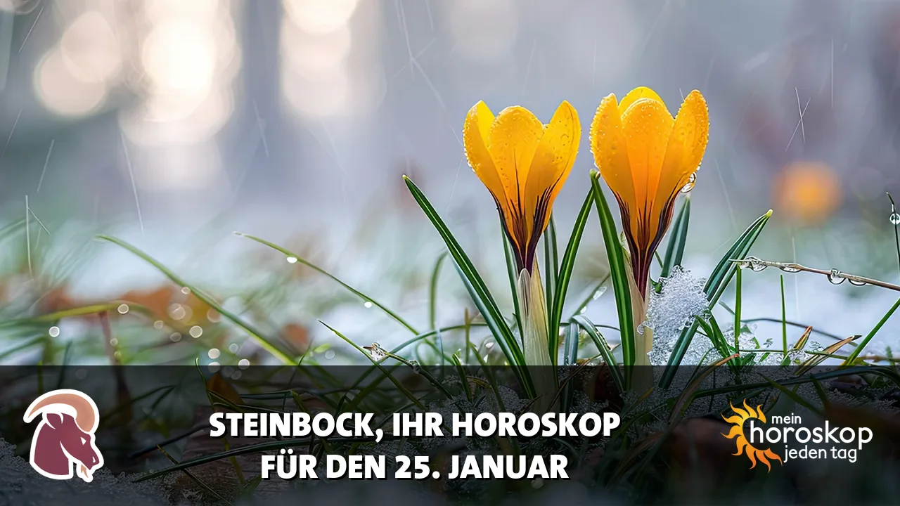 Horoscope Steinbock du Sonntag, 25. Januar 2026
