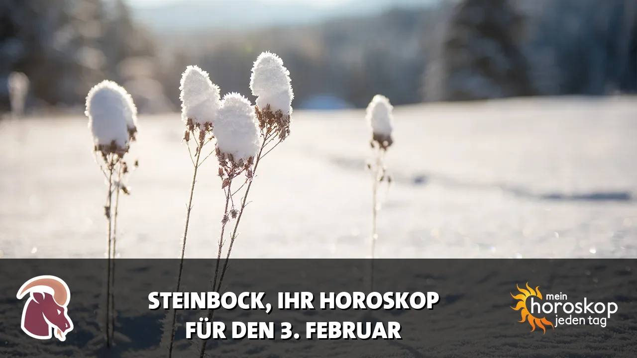 Horoscope Steinbock du Dienstag, 3. Februar 2026