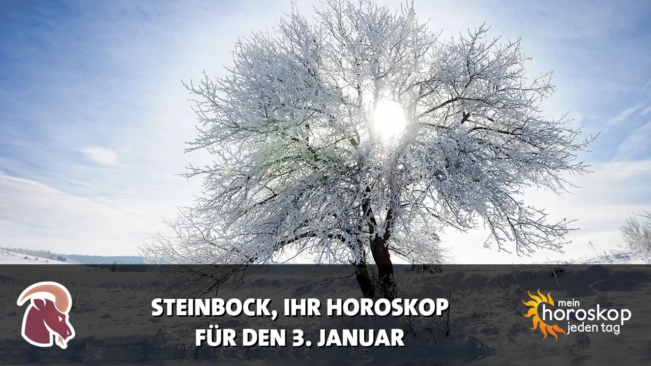 Horoscope Steinbock du Samstag, 3. Januar 2026