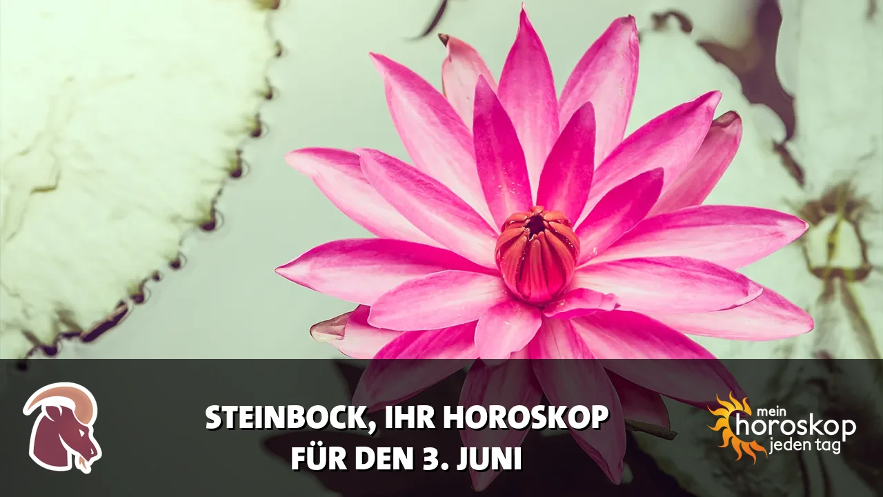 Horoscope Steinbock du Mittwoch, 3. Juni 2026