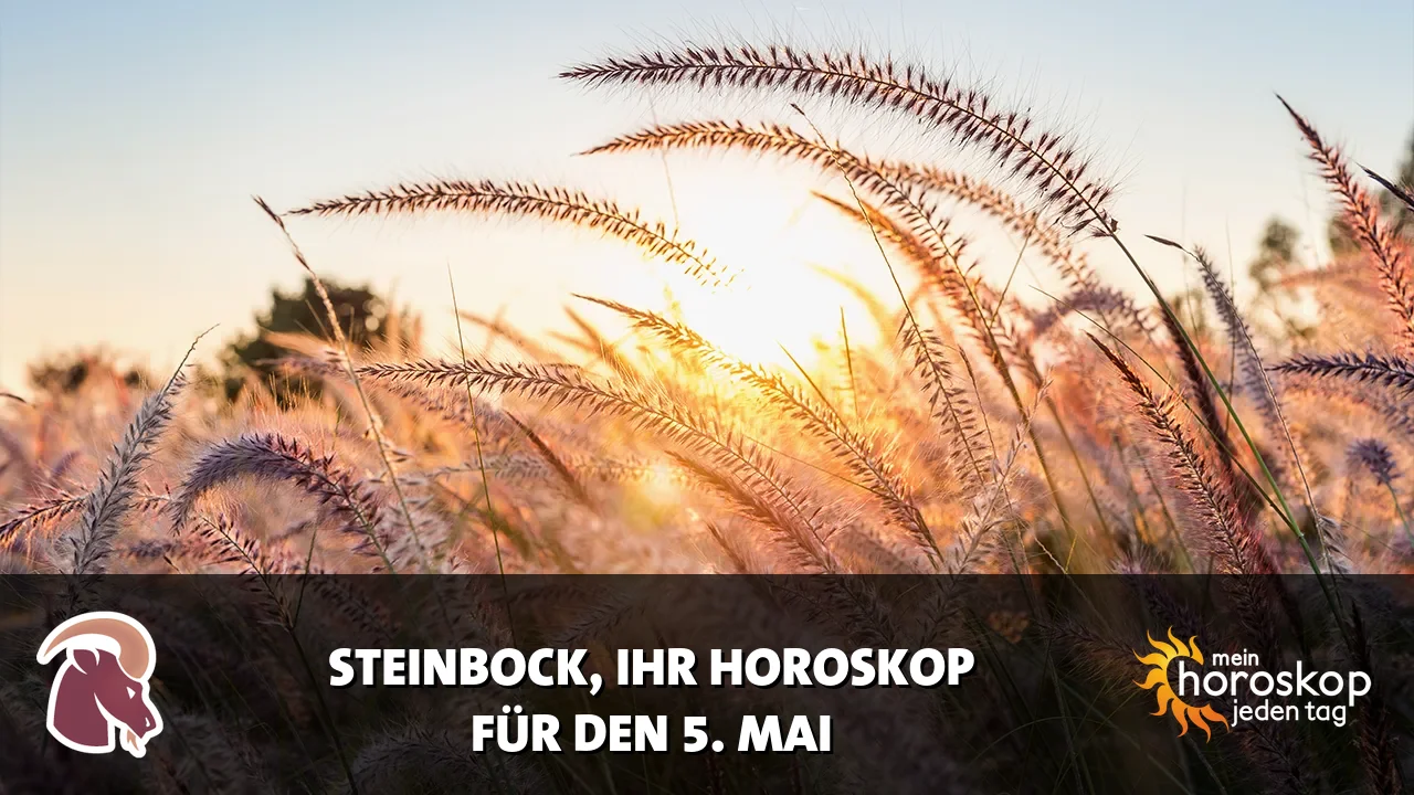Horoscope Steinbock du Dienstag, 5. Mai 2026