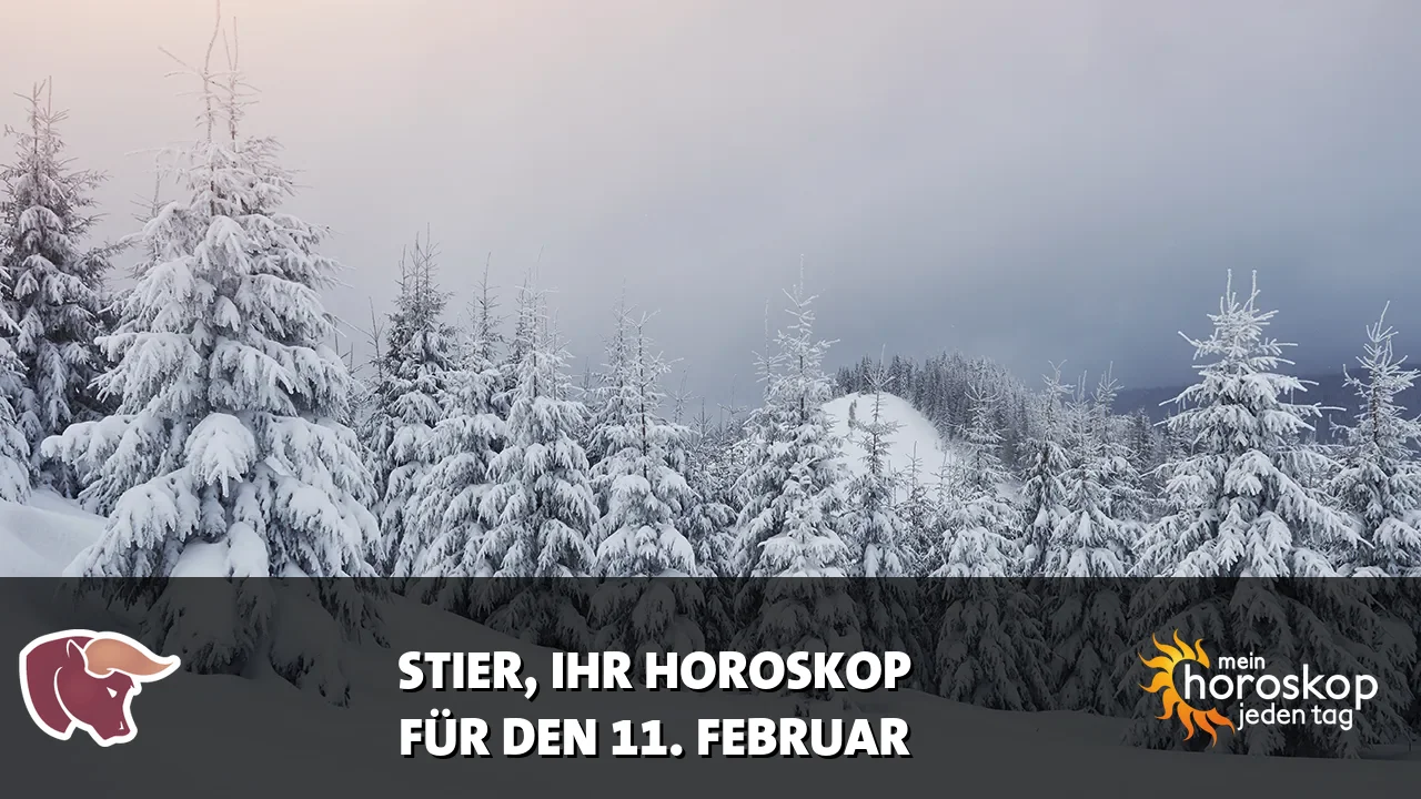 Horoscope Stier du Mittwoch, 11. Februar 2026
