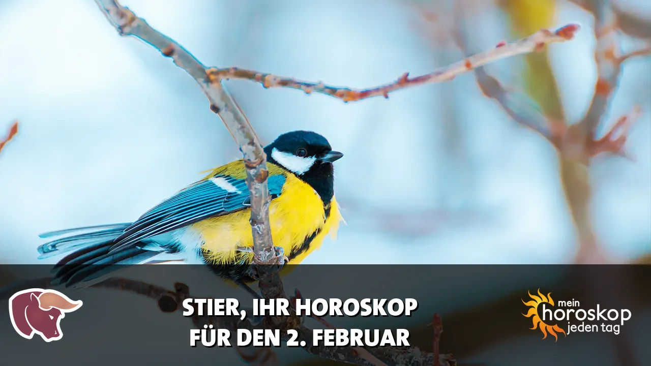 Horoscope Stier du Montag, 2. Februar 2026