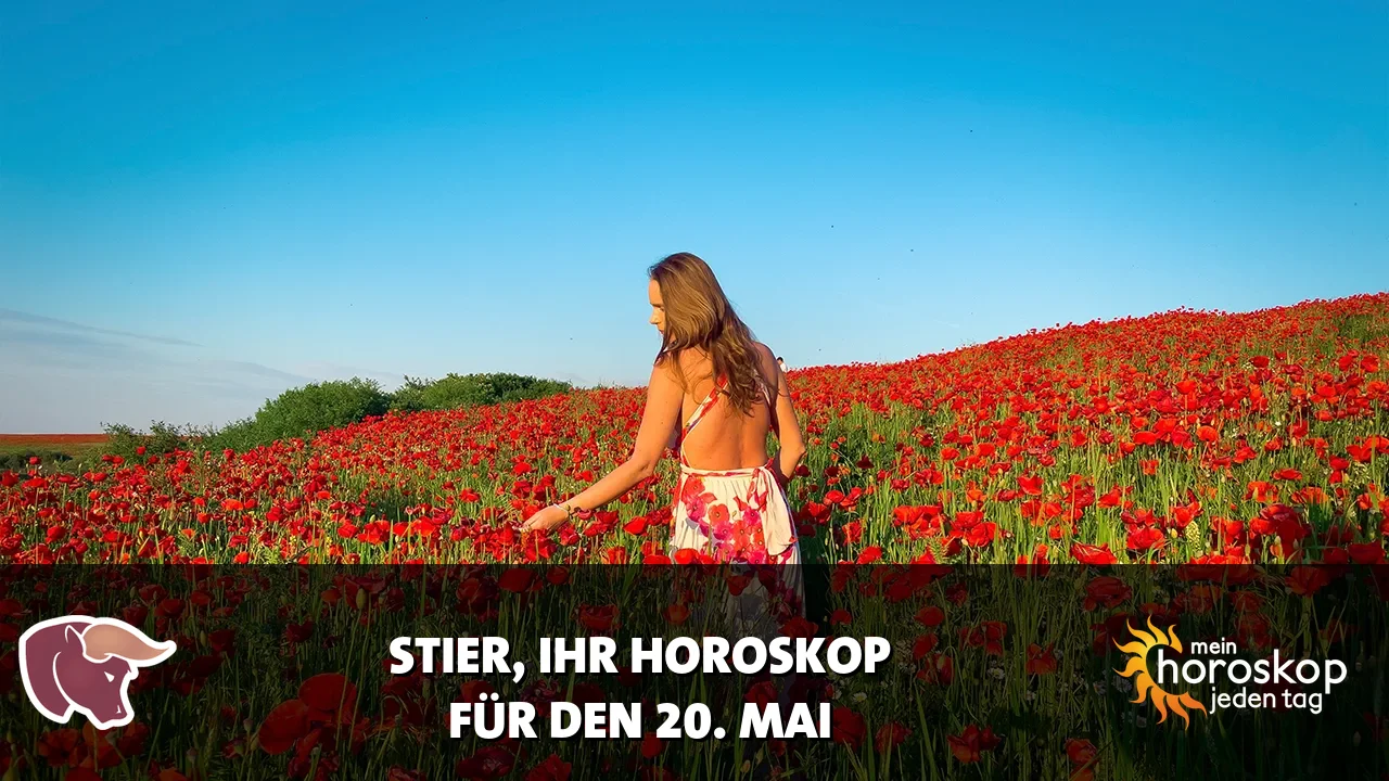 Horoscope Stier du Mittwoch, 20. Mai 2026