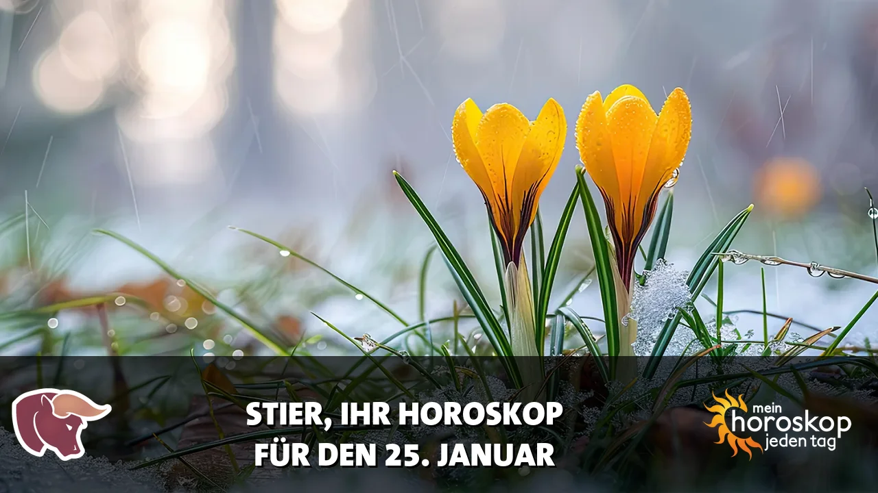 Horoscope Stier du Sonntag, 25. Januar 2026