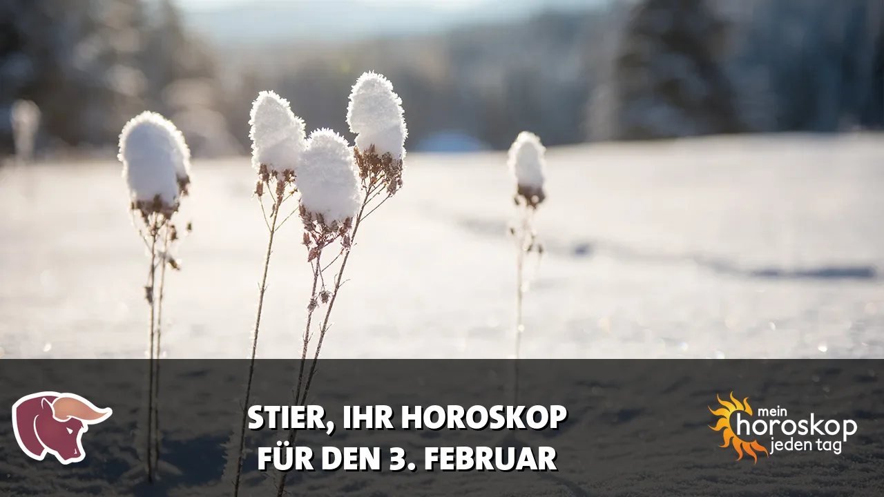 Horoscope Stier du Dienstag, 3. Februar 2026