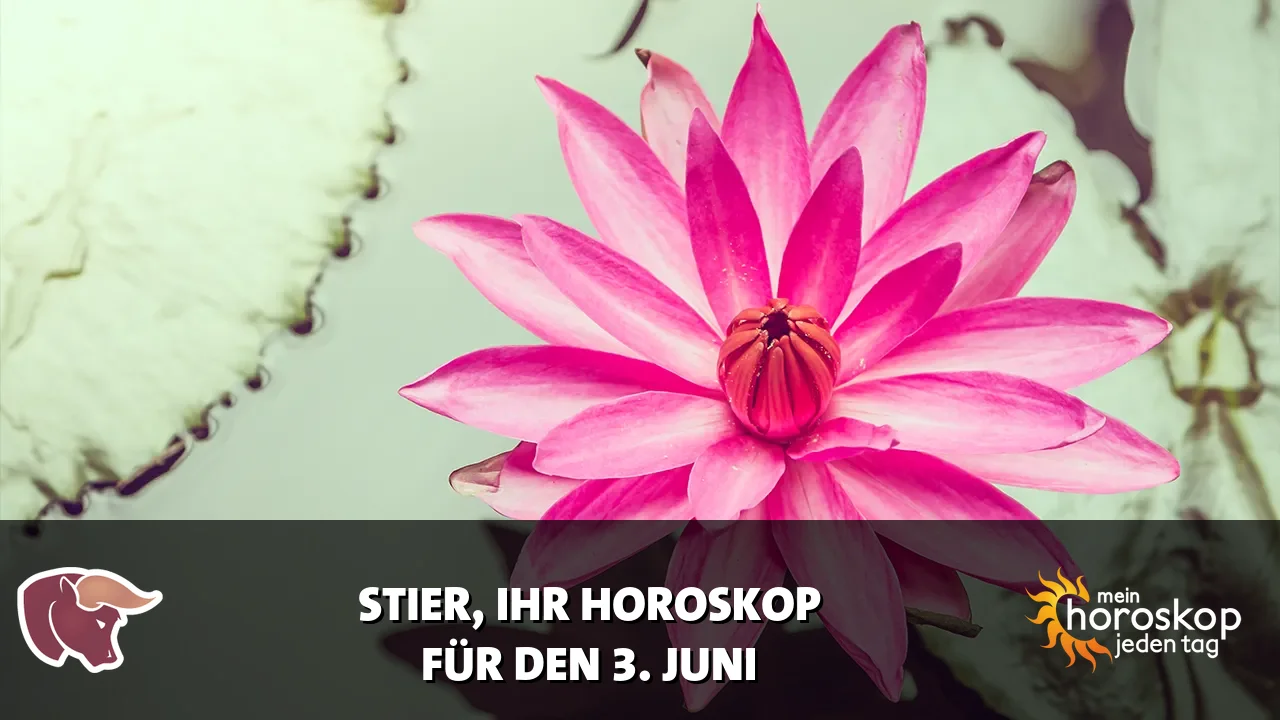 Horoscope Stier du Mittwoch, 3. Juni 2026