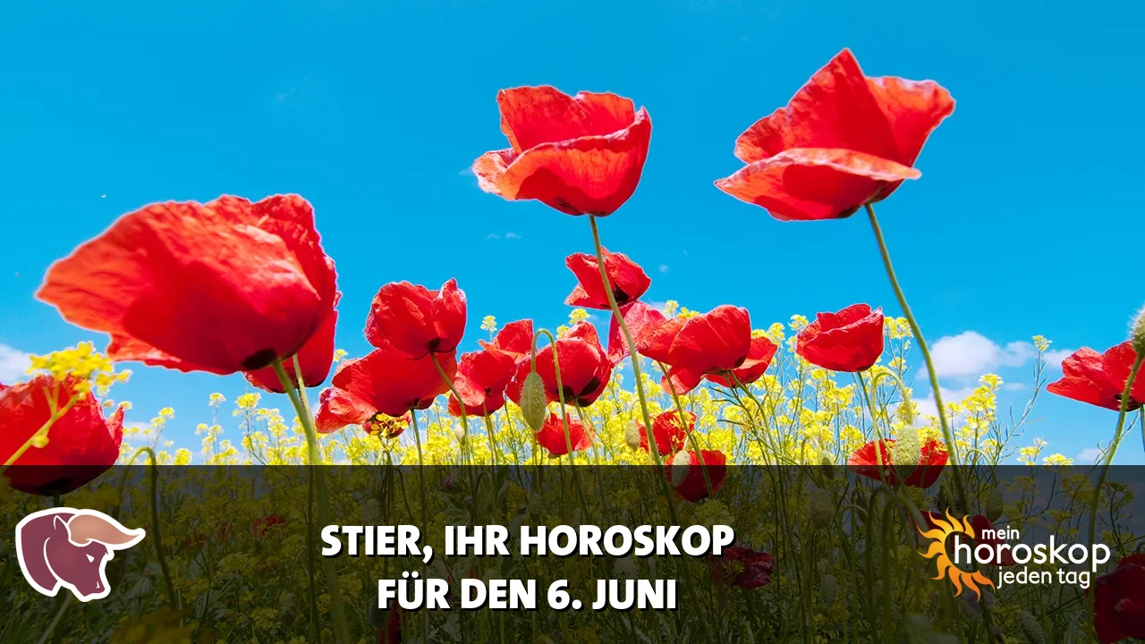 Horoscope Stier du Samstag, 6. Juni 2026