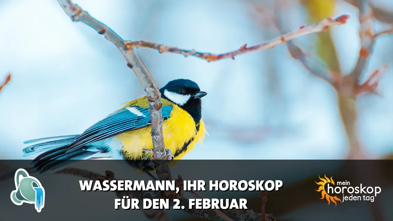Horoscope Wassermann du Montag, 2. Februar 2026