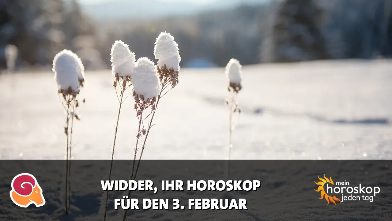 Horoscope Widder du Dienstag, 3. Februar 2026