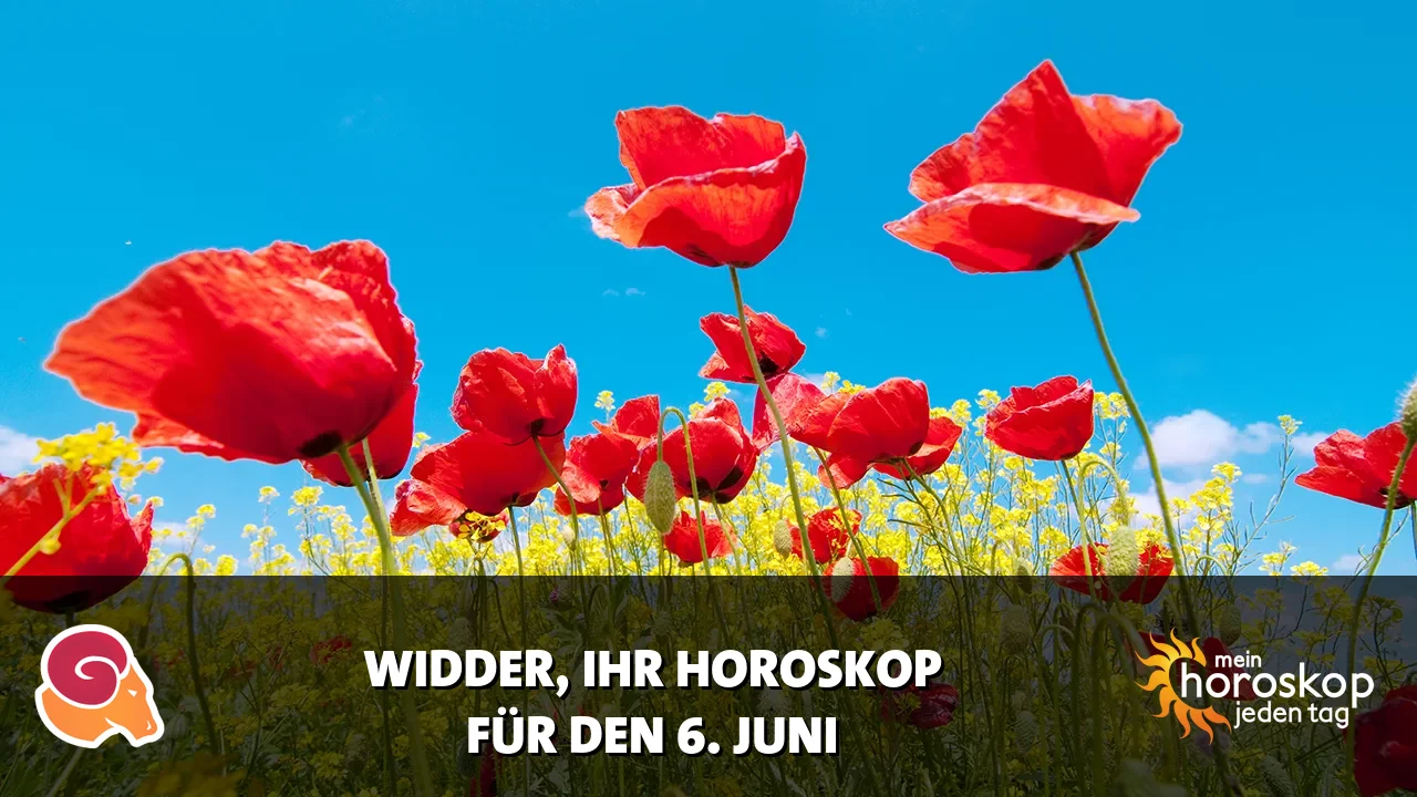 Horoscope Widder du Samstag, 6. Juni 2026