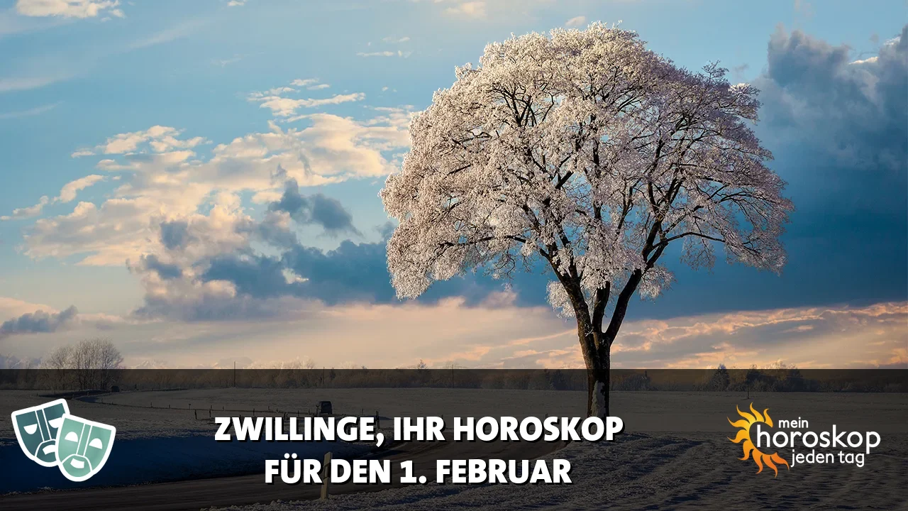 Horoscope Zwillinge du Sonntag, 1. Februar 2026
