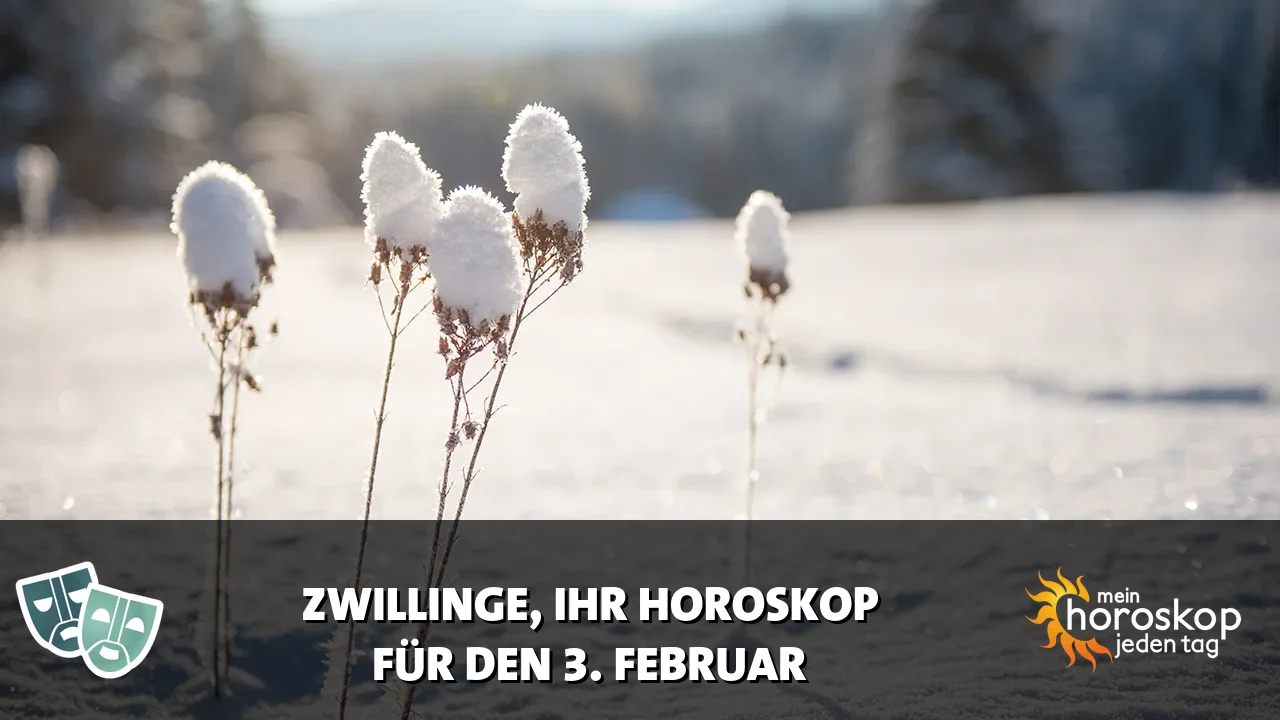 Horoscope Zwillinge du Dienstag, 3. Februar 2026