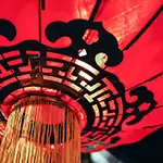 Pferd: Wohlbefinden im November 2025