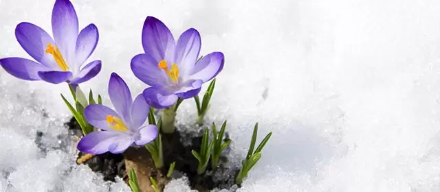 Horoskop vom Mittwoch 7 Januar 2026