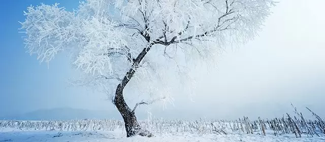 Horoskop vom Freitag 9 Januar 2026