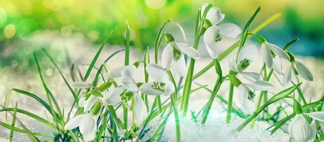 Horoskop vom  Montag 12 Januar 2026