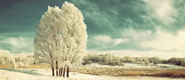 Horoskop vom  Mittwoch 14 Januar 2026