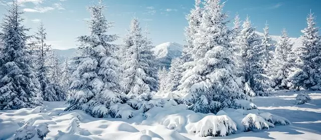 Horoskop vom Samstag 24 Januar 2026