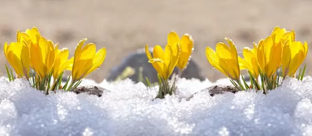 Horoskop vom Sonntag 25 Januar 2026