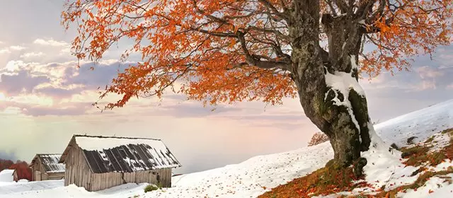 Horoskop vom Samstag 31 Januar 2026