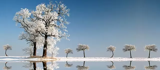 Horoskop im Januar 2026