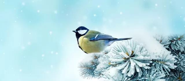 Horoskop vom Montag 2 Februar 2026