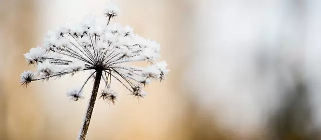 Horoskop vom Dienstag 3 Februar 2026