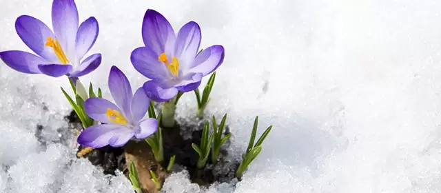 Horoskop vom Donnerstag 5 Februar 2026