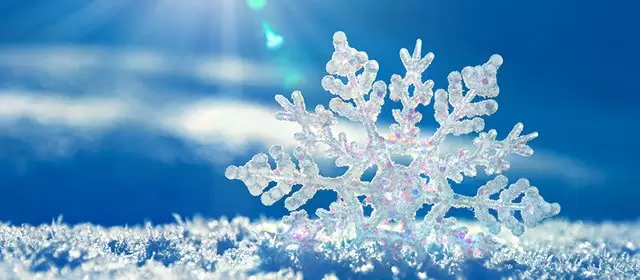 Horoskop vom Samstag 7 Februar 2026