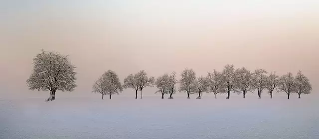 Horoskop vom  Montag 16 Februar 2026