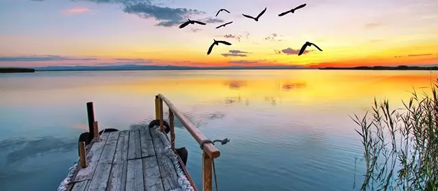 Horoskop im Februar 2026