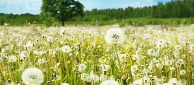 Horoskop vom Dienstag 3 März 2026