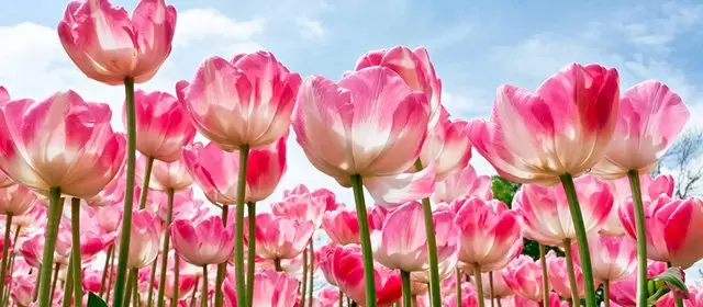 Horoskop vom  Samstag 7 März 2026