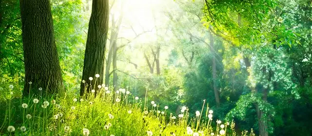 Horoskop vom  Freitag 13 März 2026