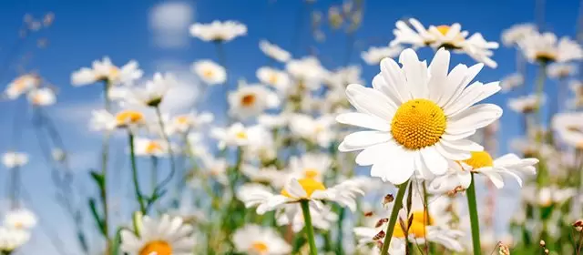 Horoskop vom  Sonntag 15 März 2026