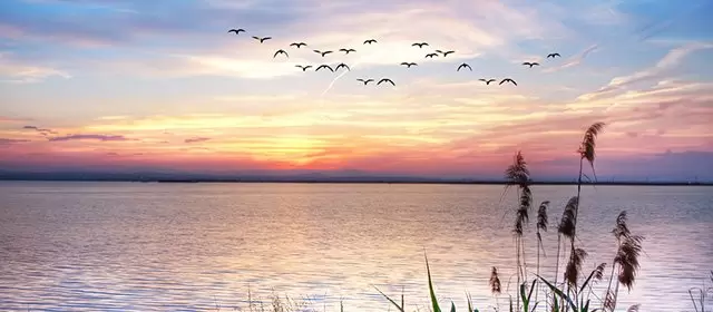 Horoskop vom  Montag 16 März 2026