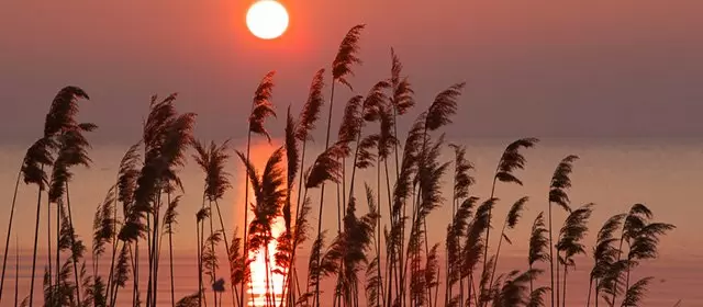 Horoskop vom Sonntag 5 April 2026